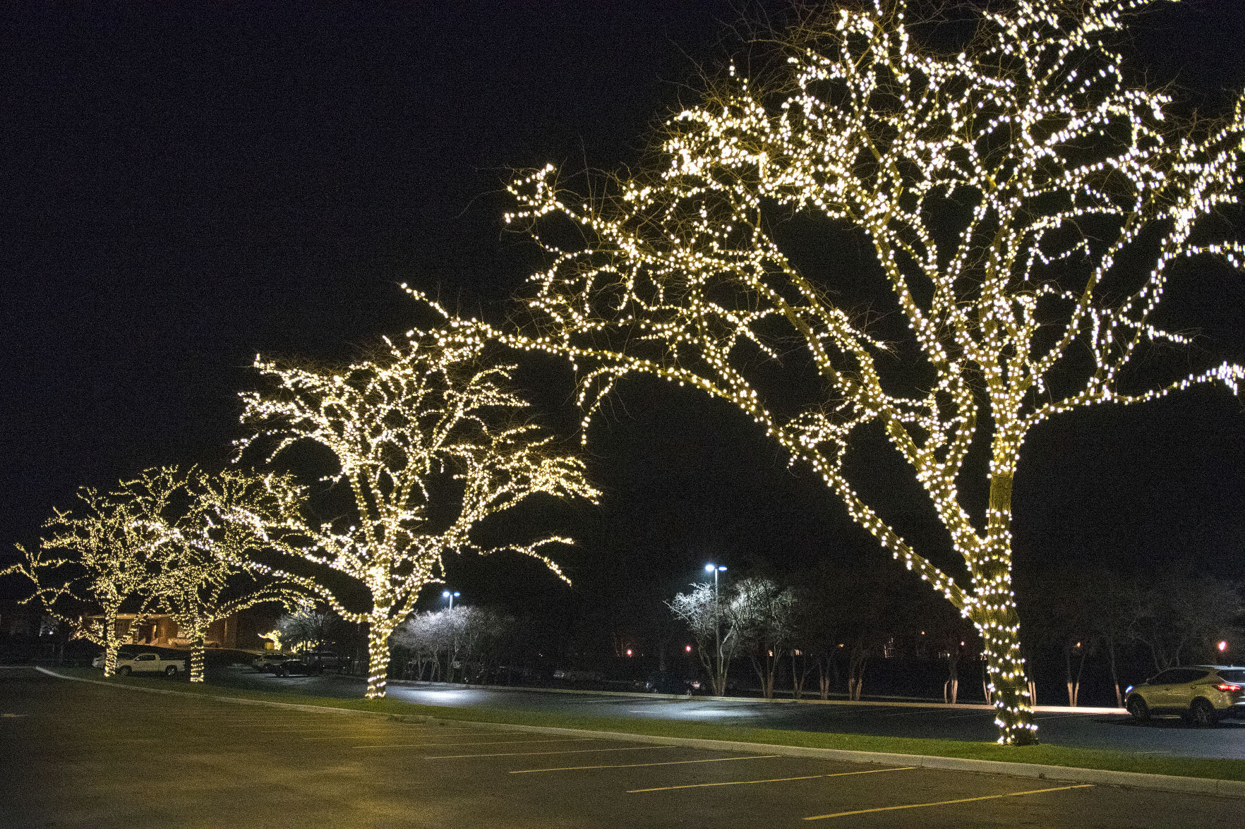 christmas lights